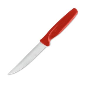 Cuchillo para Carne 10 cm Precisión WUSTHOF 1225302510 Mango Rojo